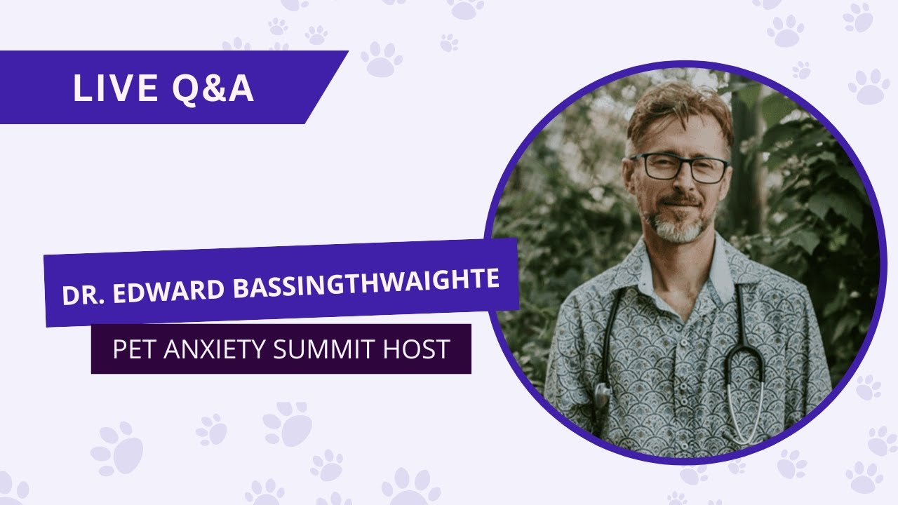 Pet Anxiety Summit Day 1 Live Q&A with Dr. Edward Bassingthwaighte