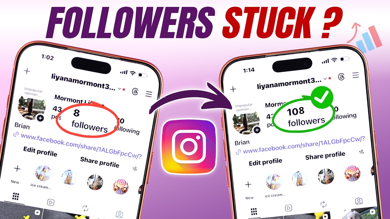 How to Fix Instagram Followers Stuck!