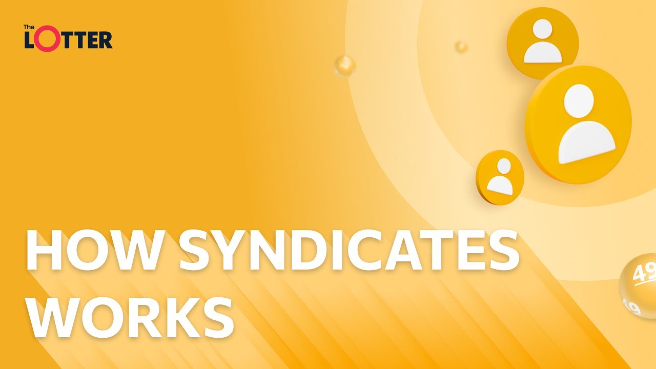 How to Play Lottery Syndicates Online?
