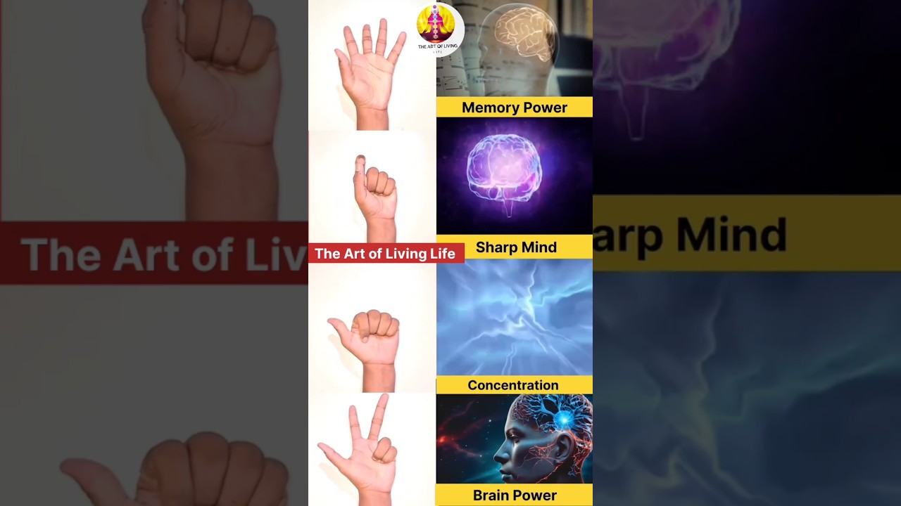 Hand exercise for #Brain #memorypower #sharpmind #constration do it for 5 minutes daily