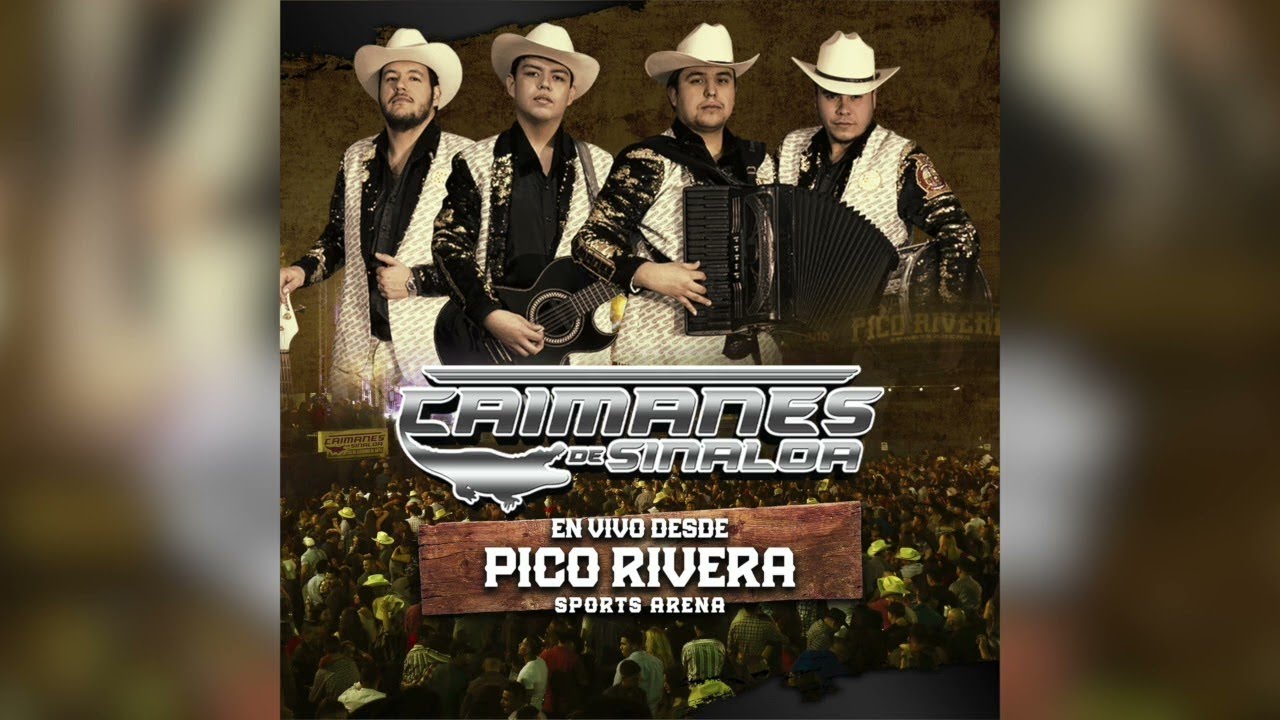Los Caimanes De Sinaloa 