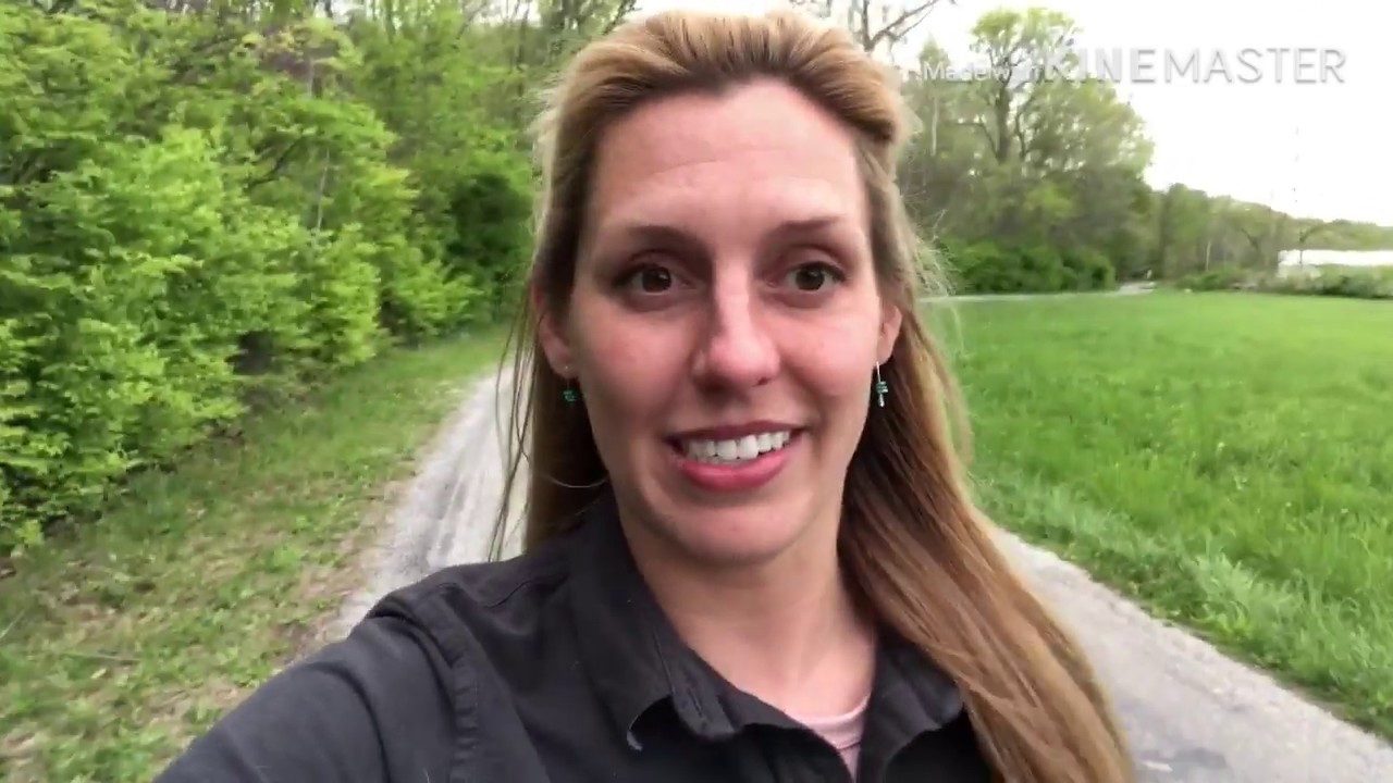 Invasive Plant Species Identification