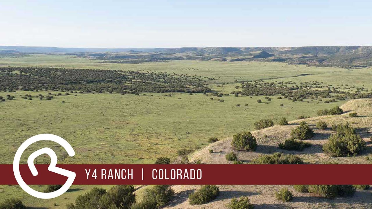 Colorado Ranches for sale: Y4 Ranch by Mason & Morse Ranch Company #ranchforsale