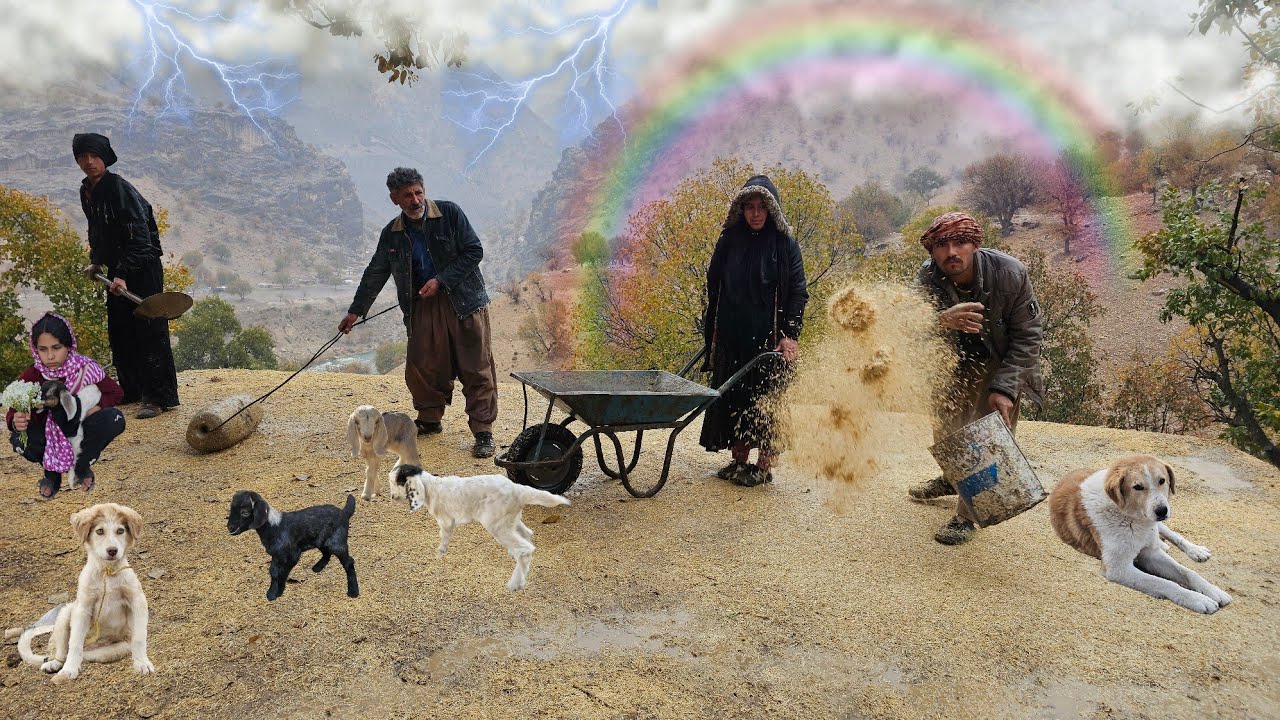 Real Nomadic Life in a Dangerous Rainy Day | Flood Survival & Saving Goats۱۳ دسامبر ۲۰۲۵