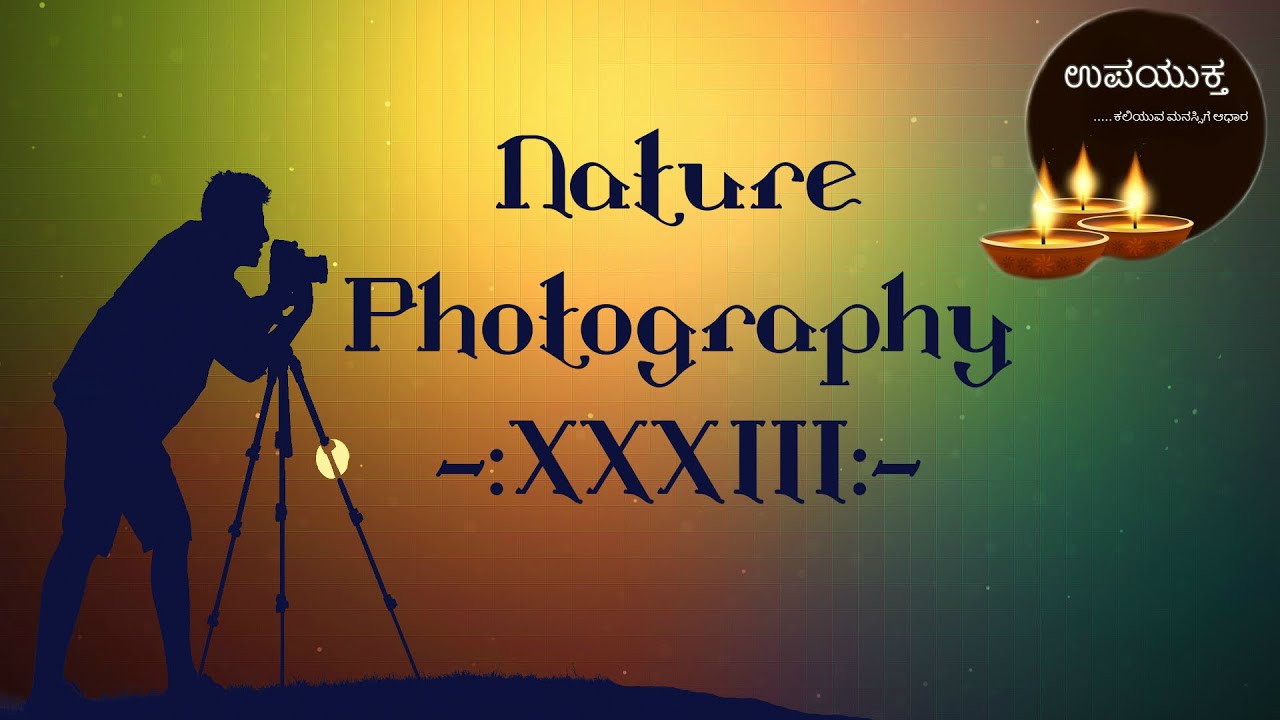Photography | Canon | Indian Photography | Nature Photography | Chithra Guccha XXXIII # Prashanth N