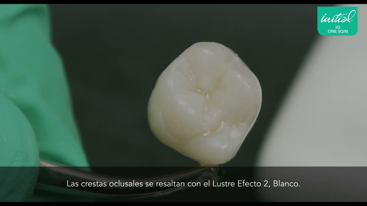 Maquillar una corona monolítica con Initial IQ Lustre Pastes ONE