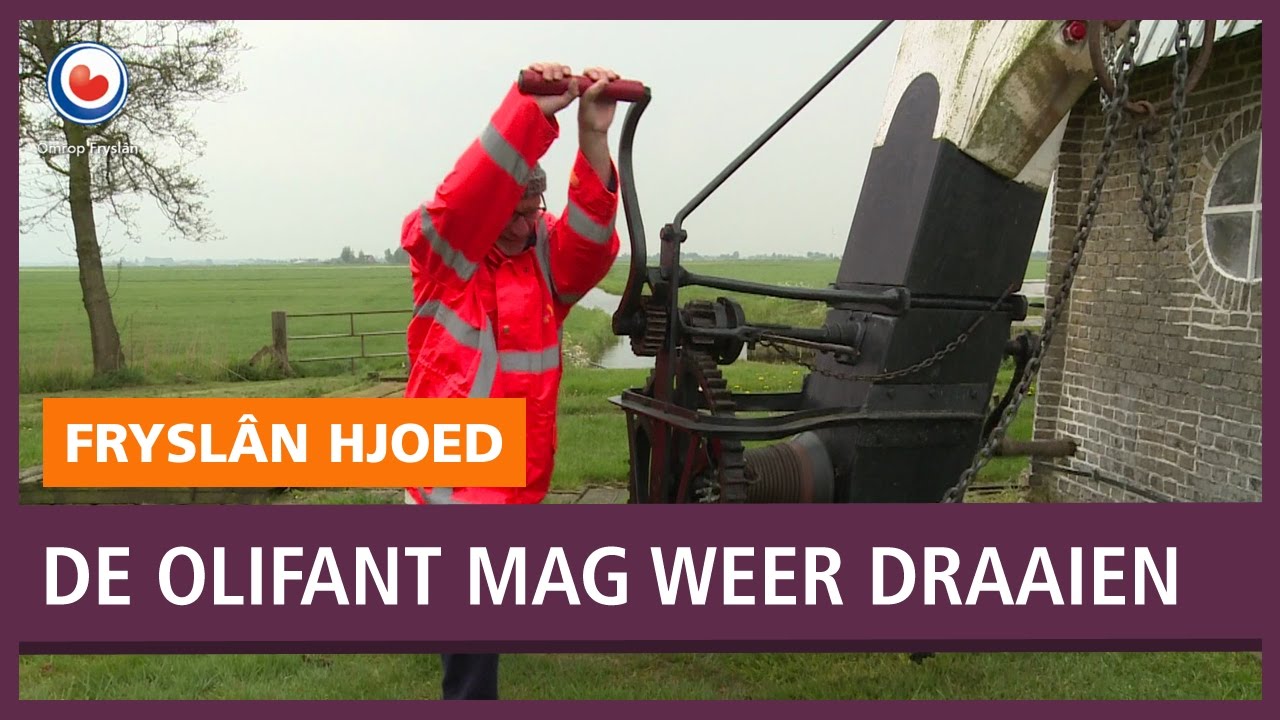 REPO: De olifant mag weer draaien