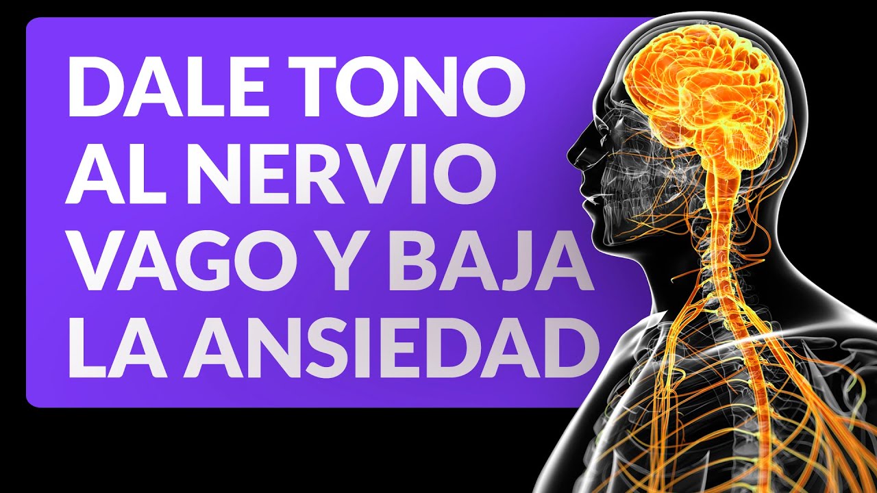 Ejercicios para darle tono al nervio vago y bajar la ansiedad