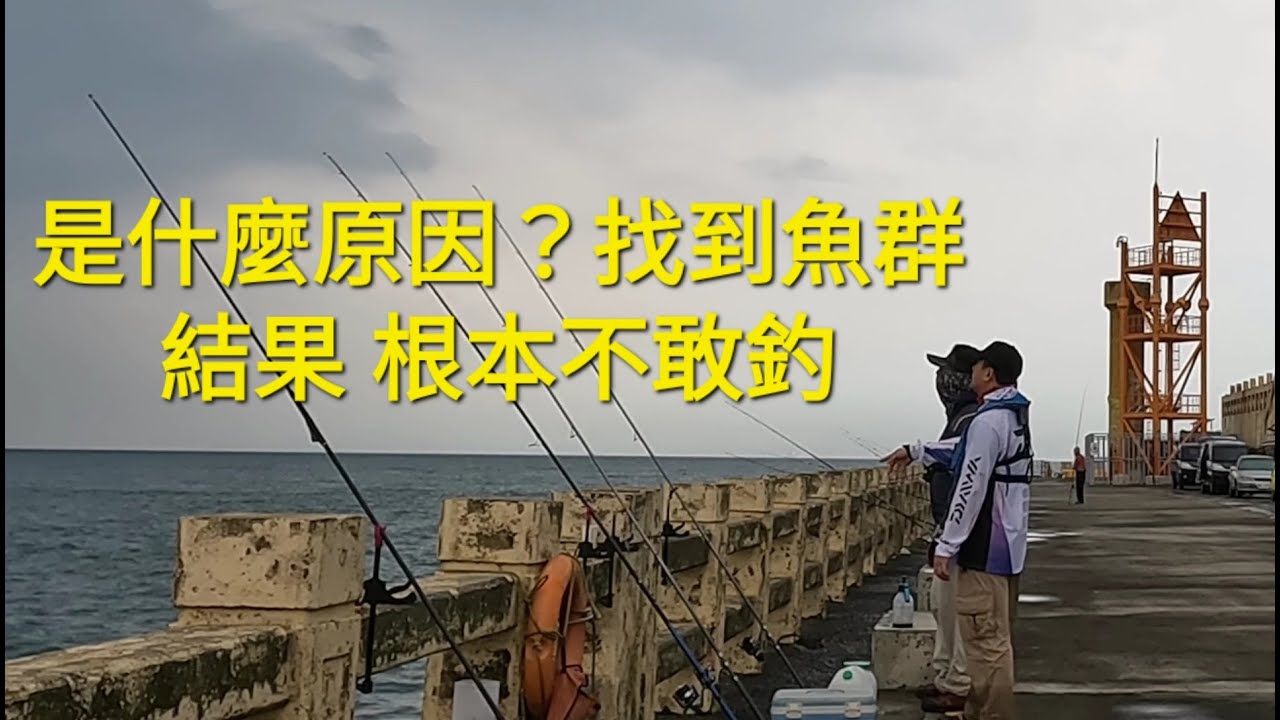 終於找到魚群，但是根本不敢釣，原因竟然是？2025/04/23