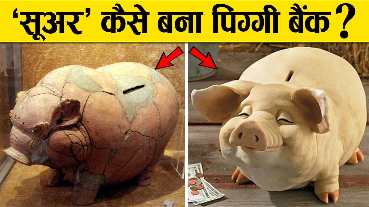 कीचड़ में रहने वाला ‘सूअर’, कैसे बना पिग्‍गी बैंक ? पूरी कहानी | Piggy Bank Story in Hindi
