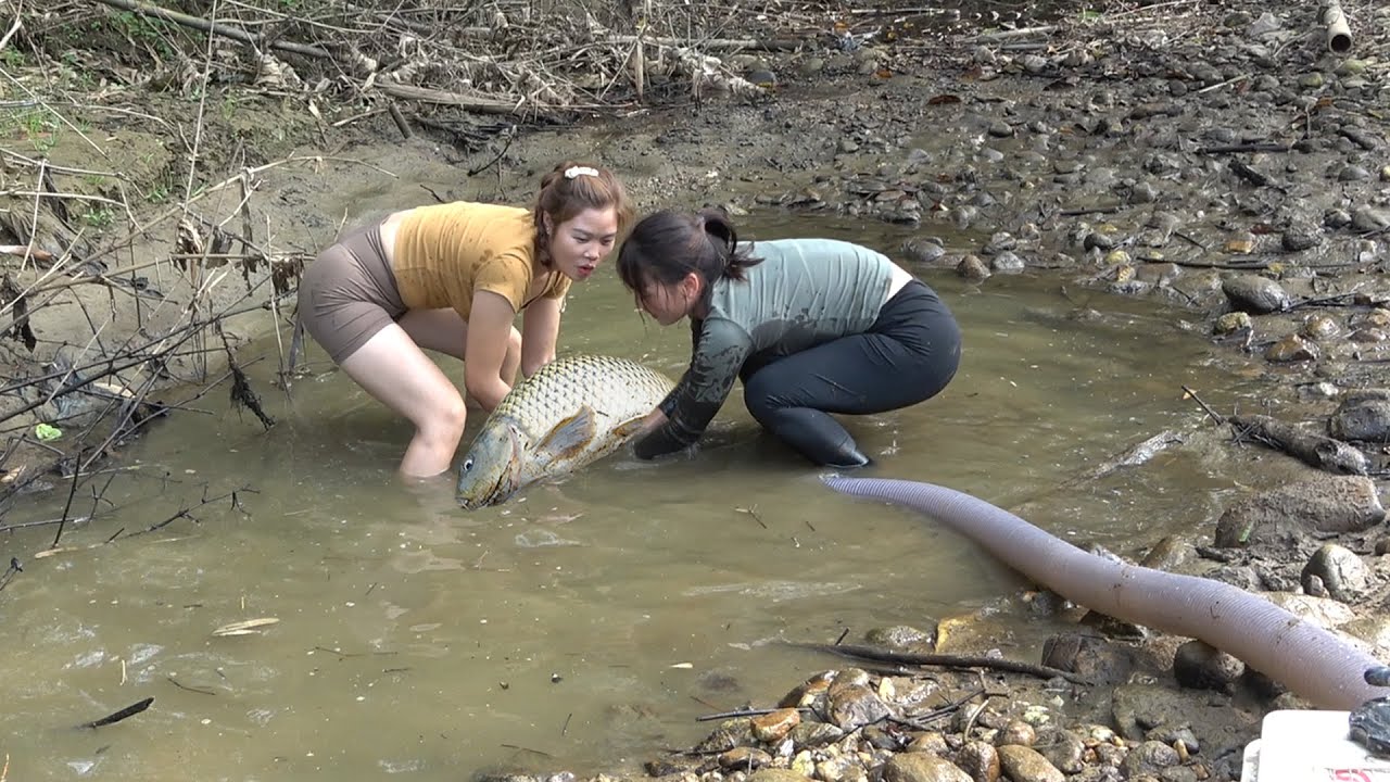 Girl’s Skills Catch Big Fish | Lure Fish Into The Tiny Pond, Used a Pump to Suck Up All The Water
