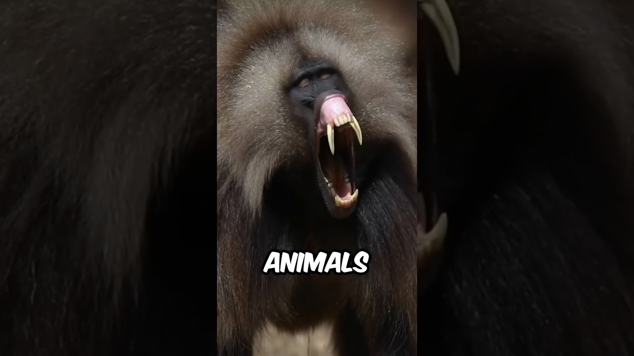 This is the real sound of animals! #animalfacts #wildlife #facts