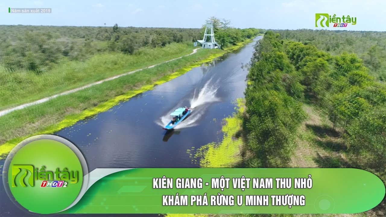Kiên Giang - Một Việt Nam thu nhỏ: Khám phá rừng U Minh Thượng