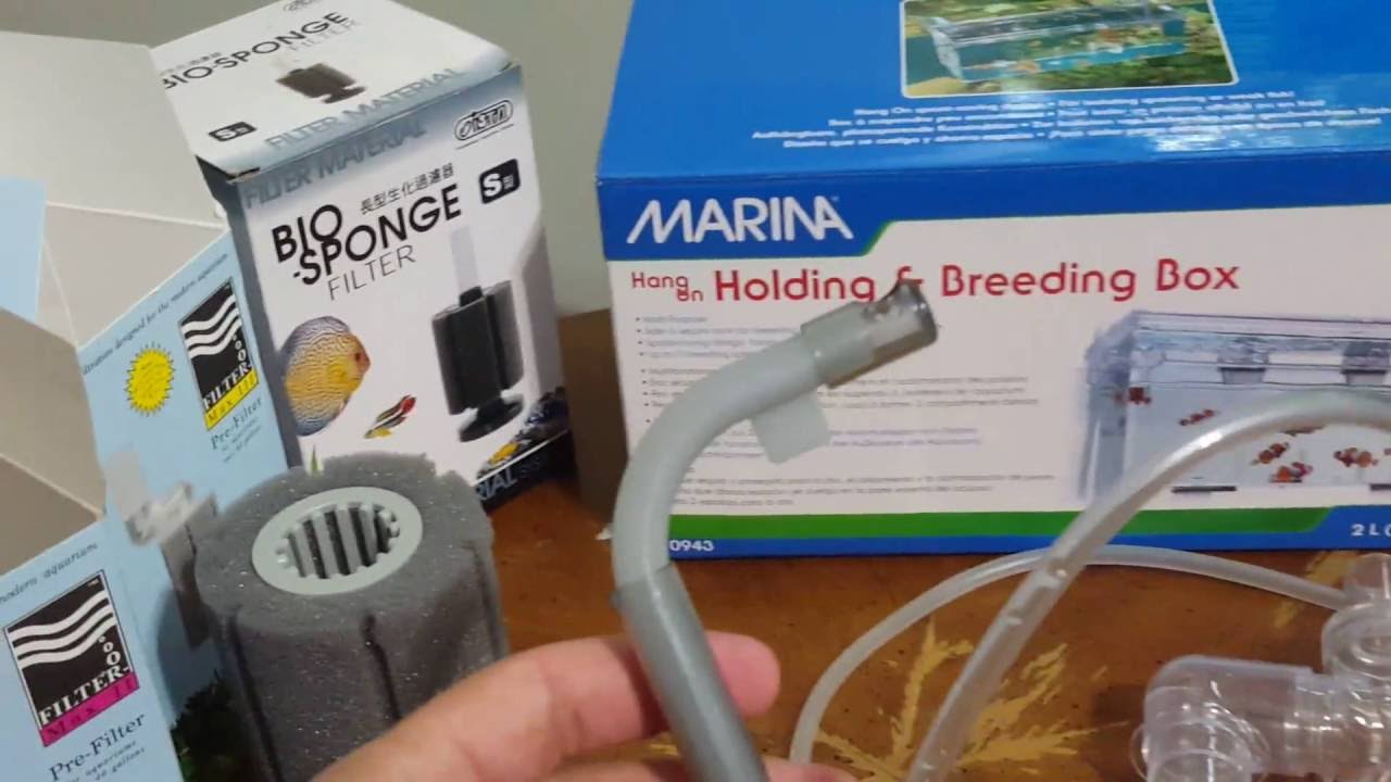 Marina breeding box and ATI pre filter sponge