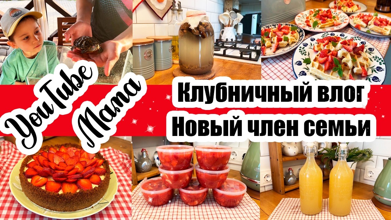 ЧТО-ТО НОВЕНЬКОЕ 😊 ЗАГОТОВКА КЛУБНИКА-БАНАН 🍓🍌 НОВЫЙ ЧЛЕН СЕМЬИ 🐢 ХЛЕБНЫЙ КВАС 🧋УЮТНЫЕ БУДНИ 🏡