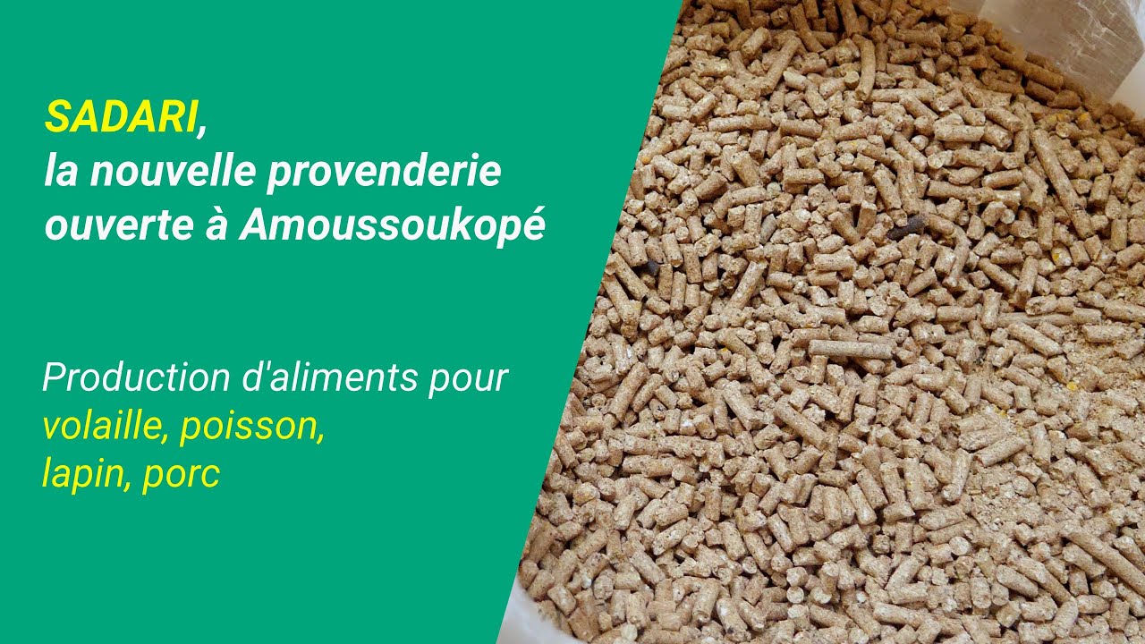 Togo- Une provenderie moderne inaugur&eacute;e &agrave; Amoussoukope