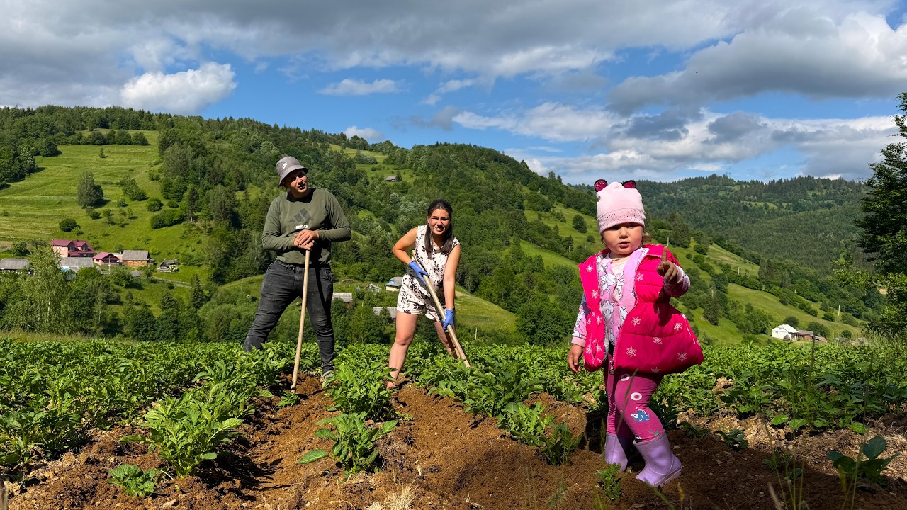 Building a Strong River Bridge & Hilling Potatoes | Real Mountain Village Life in the Carpathians 🌉🥔