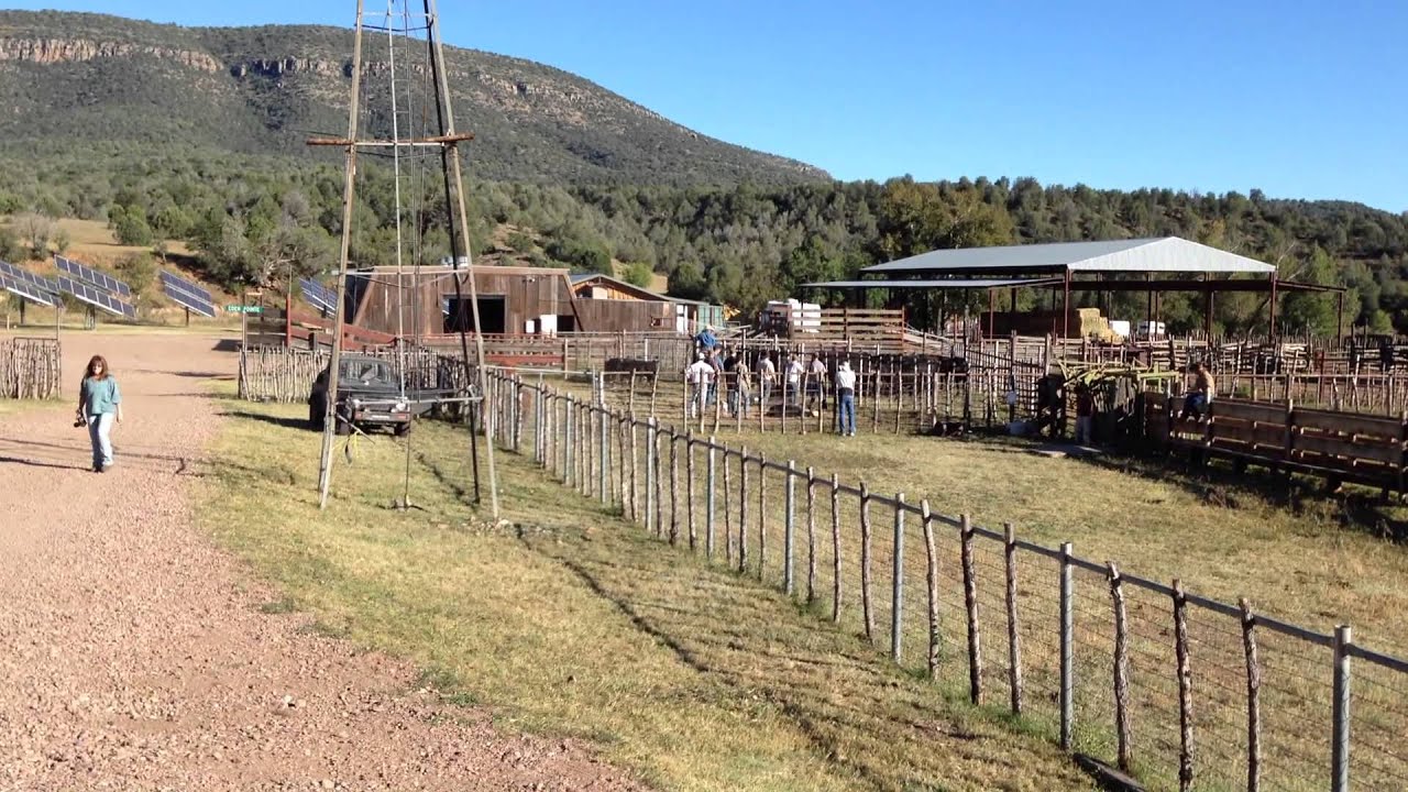 Cattle Branding at Cherry Creek Lodge