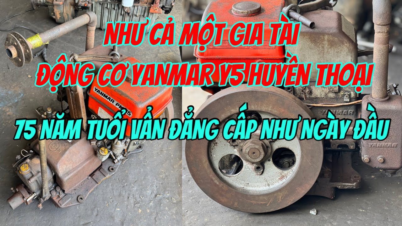 Test Huyền Thoại Máy Thuỷ Yanmar Y5 75 Năm Tuổi Cốt STD Quá Đã| Tâm Vlog
