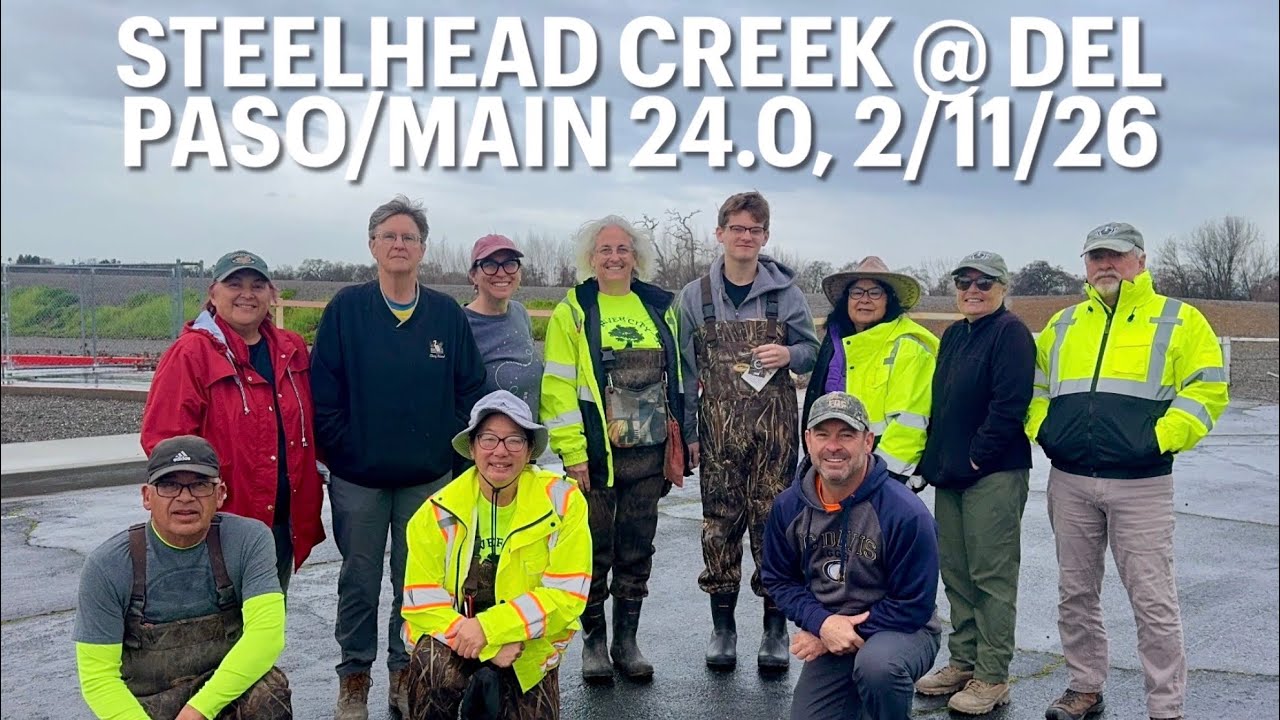 Steelhead Creek @ Del Paso/Main 24.0, 2/11/26