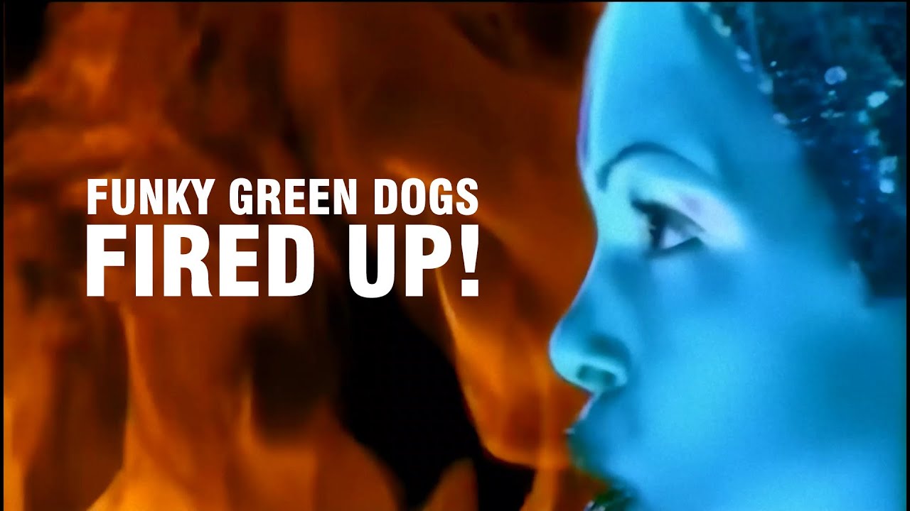 Funky Green Dogs - Fired Up