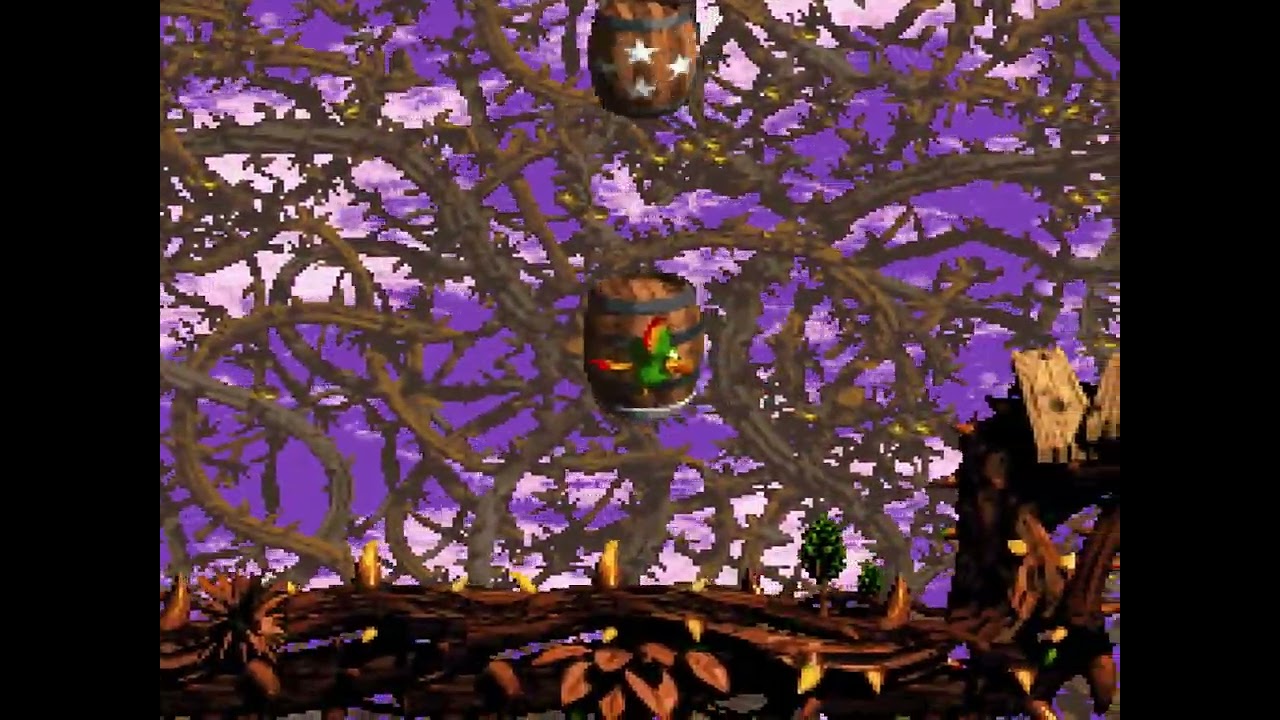 Screech's Sprint, Bonus & DK Coin, Donkey Kong Country 2