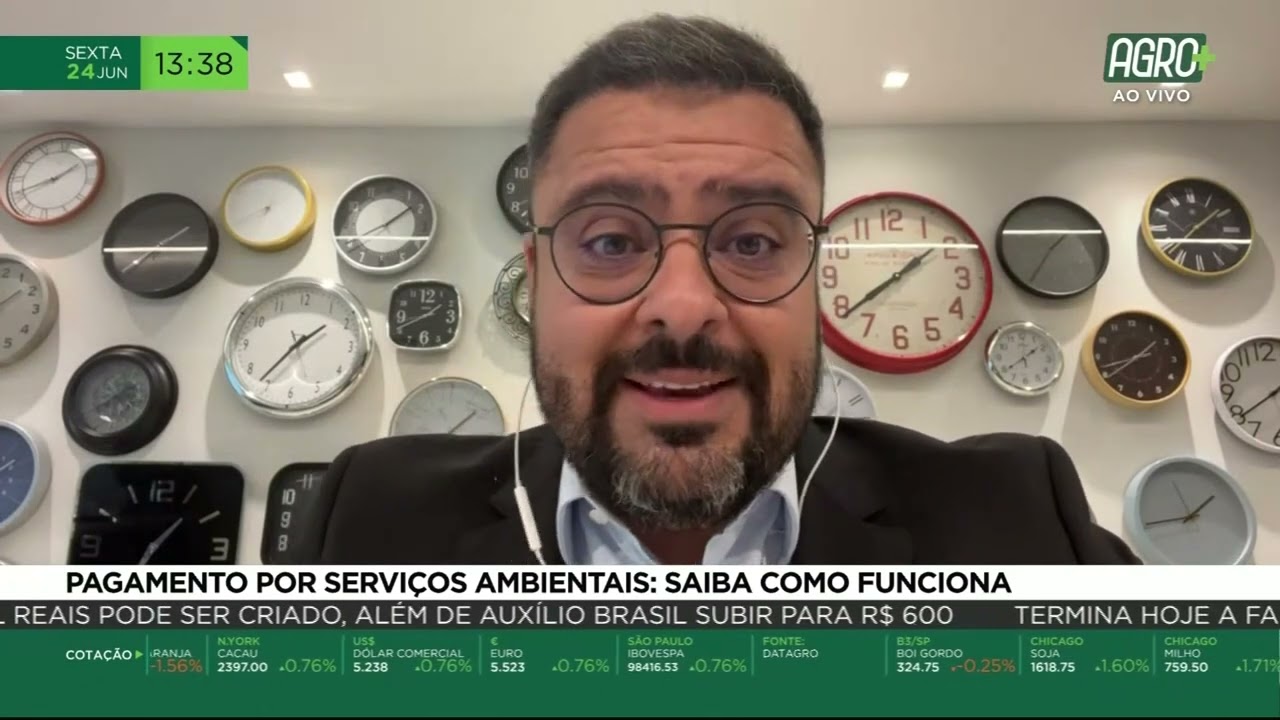 Pagamento por serviços ambientais: Saiba como funciona
