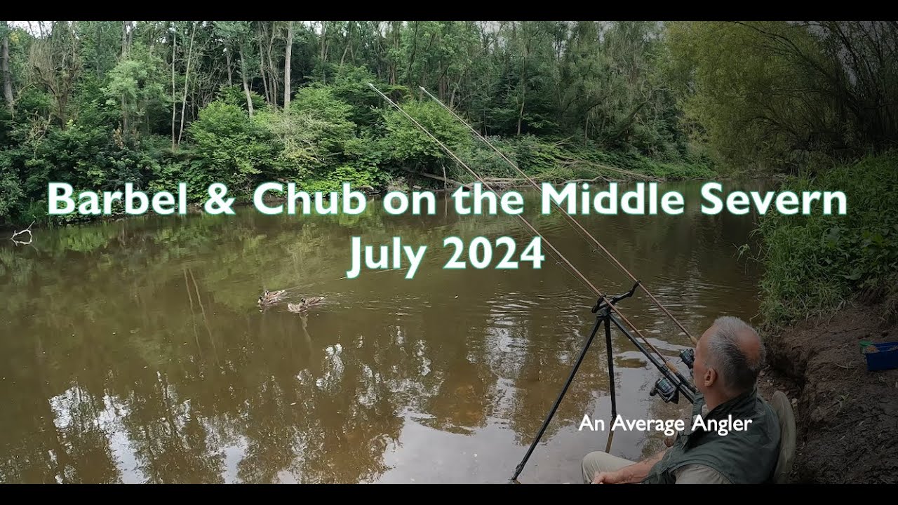 Barbel & Chub Fishing on the Middle Severn - July 2024