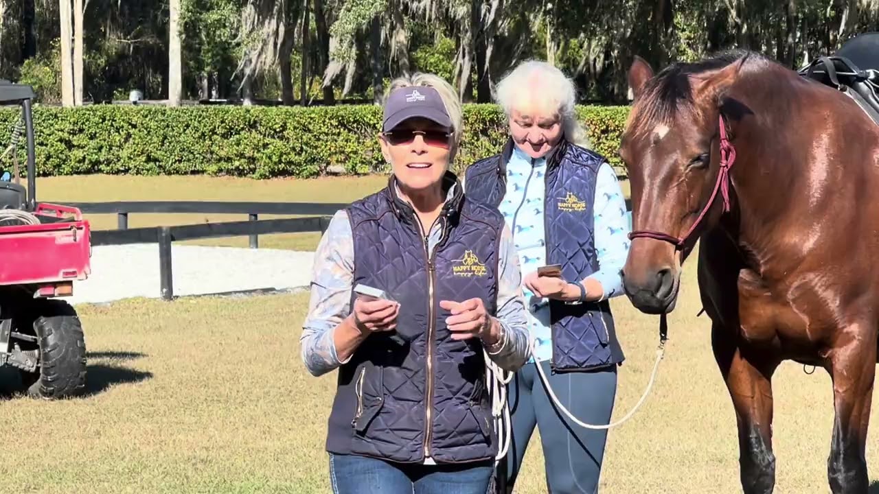 52 Games for Your Horse