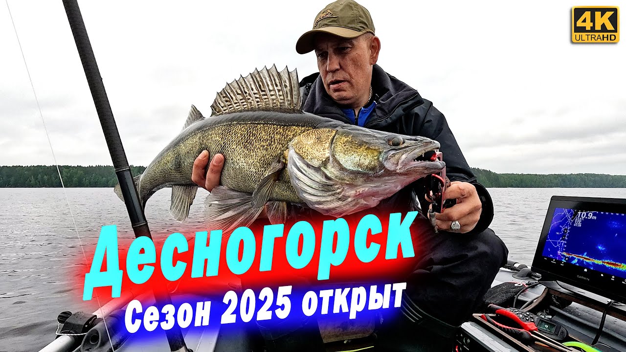 Судаки, Сомы, Щуки теперь им не спрятаться. Нерестовый запрет закончился