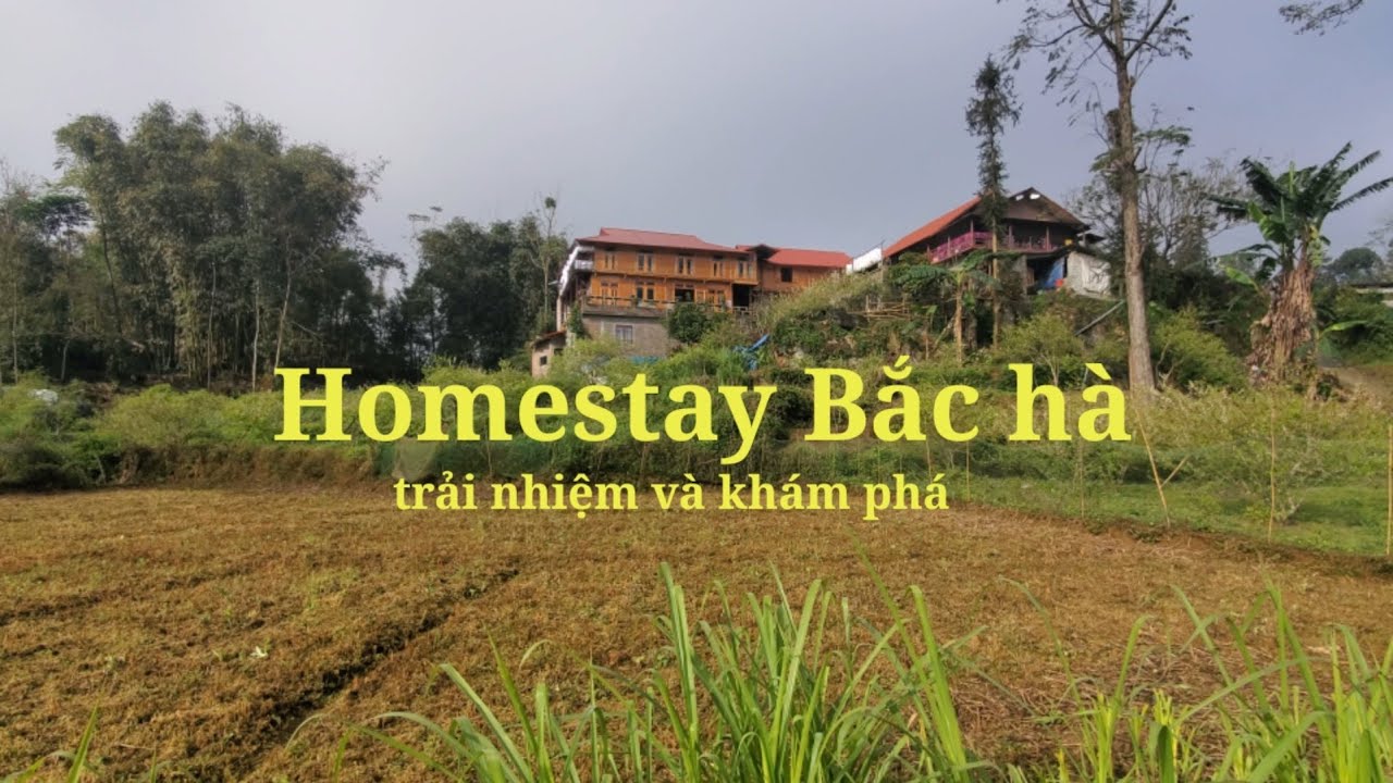 Homestay Bắc Hà Trải Nhiệm Và Khám Phá| tân tiến tây bắc
