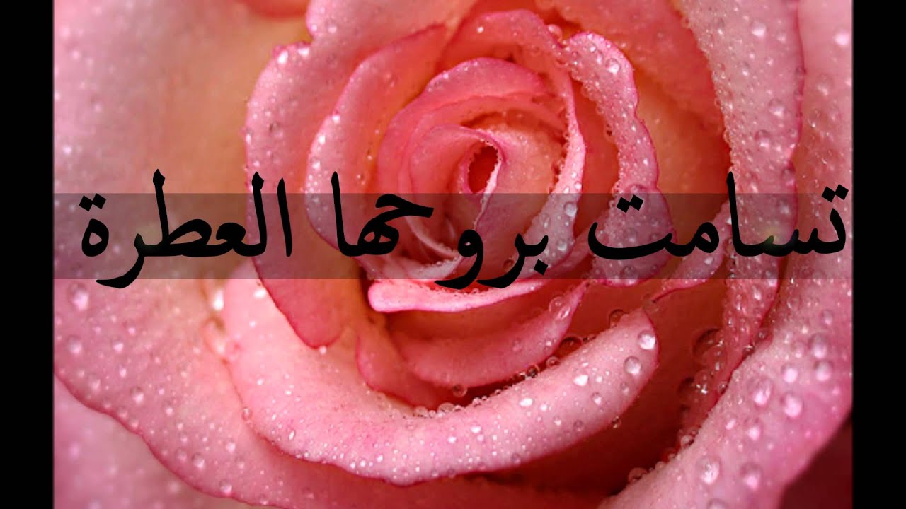 شكر لمعلماتي في الثانوية السابعة بتبوك😉 احلى معلمات😉