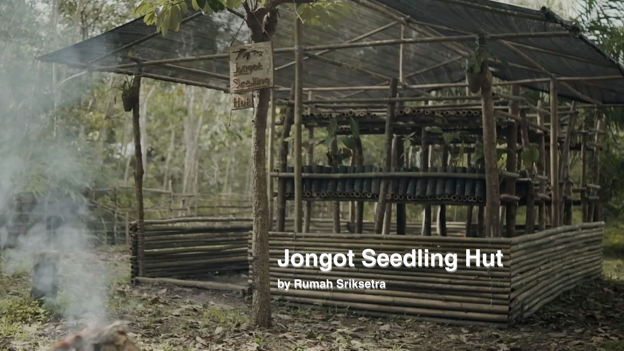 JONGOT SEEDLING HUT