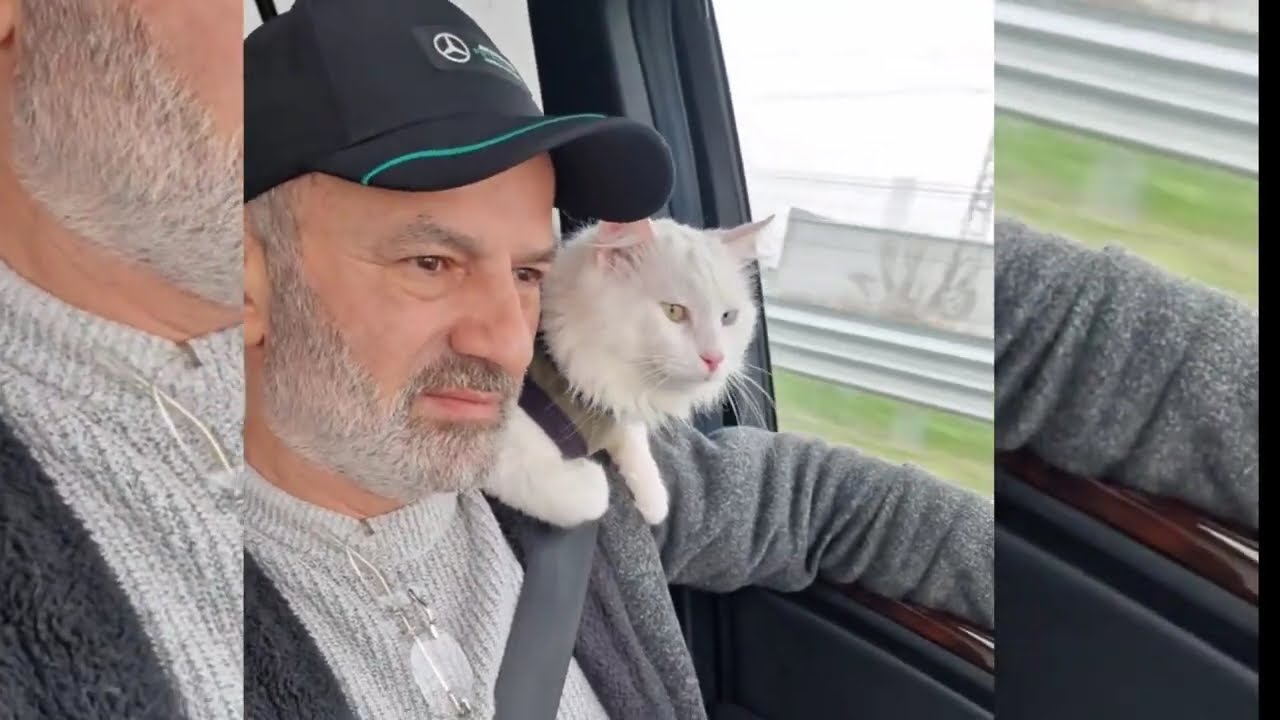 Türkiye den Almanya ya GURBET YOLU  1Kedi 1 köpek ve Çekme Karavan ile.. #silayolu #kedi #köpek