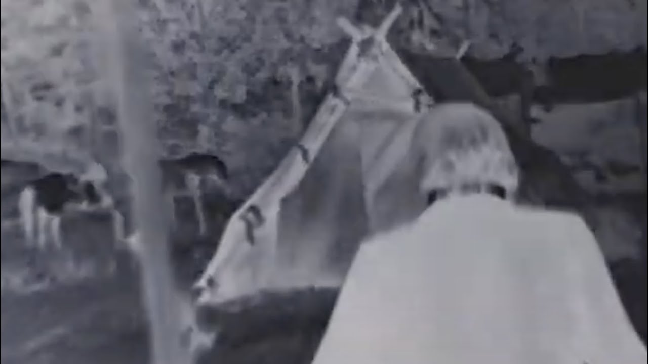 The most random death ever (seriously)