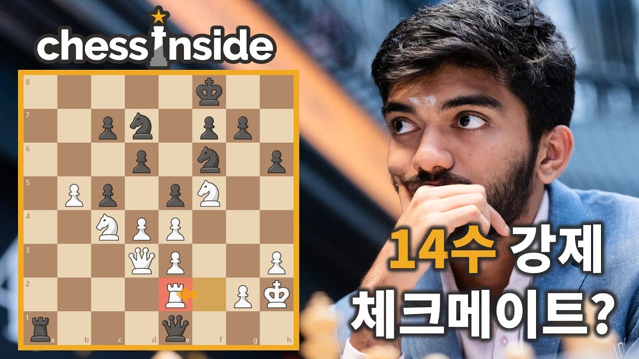14수 체크메이트? 쉽지!