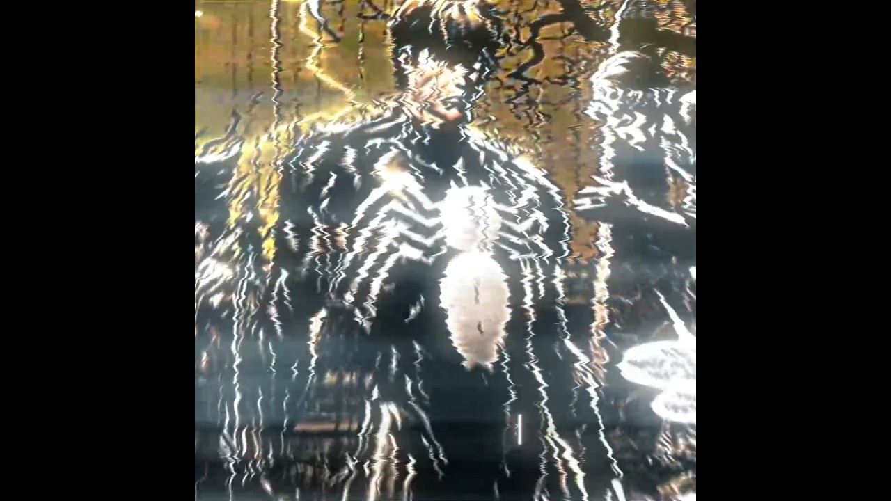 Not Us ? - Spectacular Spider Man X Symbiote Edit | vyrval ✻h+3+яд✻7lucjio0t6 (slowed)