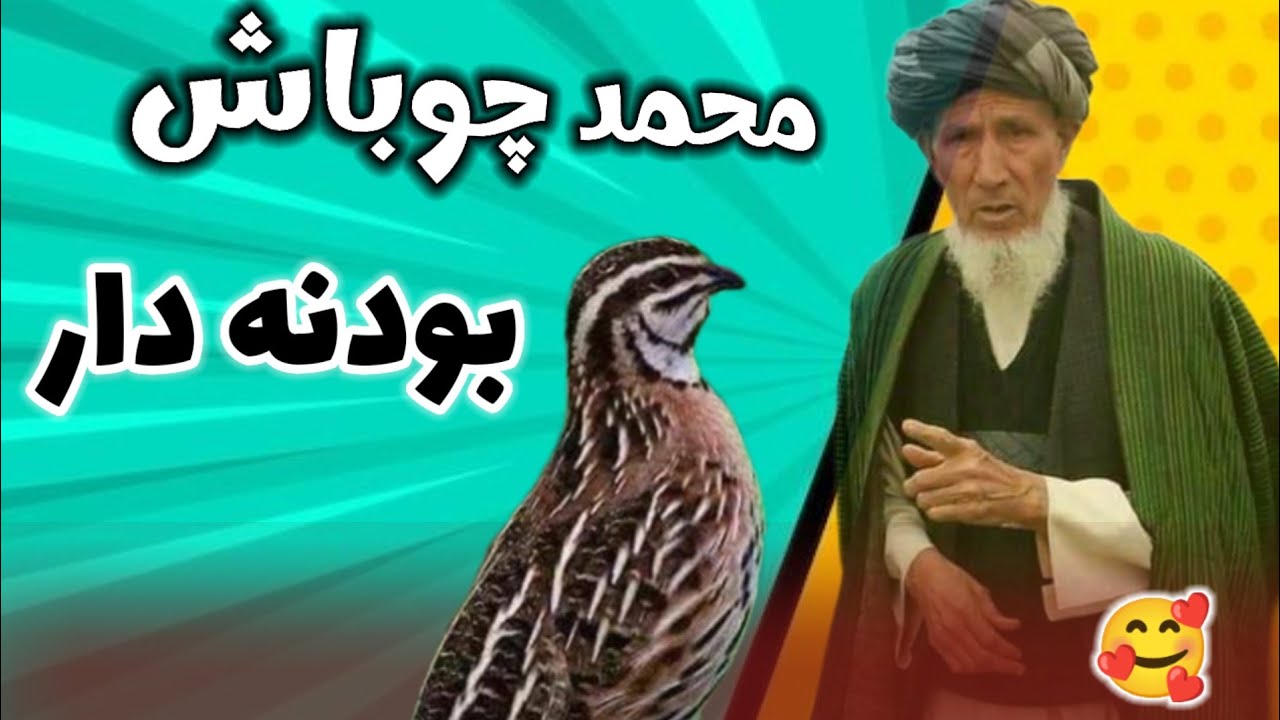 محمد چوباش mohammad chopash 🎤🥰❤️🪕🎤🥰❤️🪕
