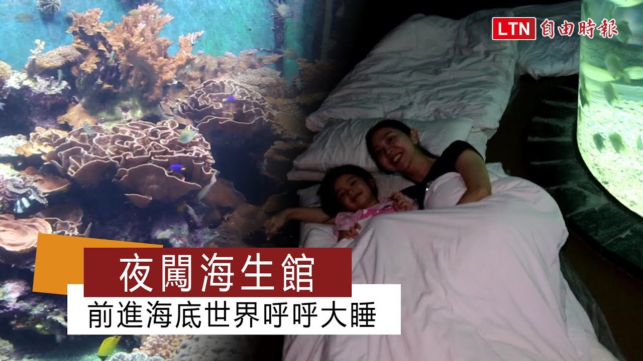 夜闖海生館 前進海底世界呼呼大睡