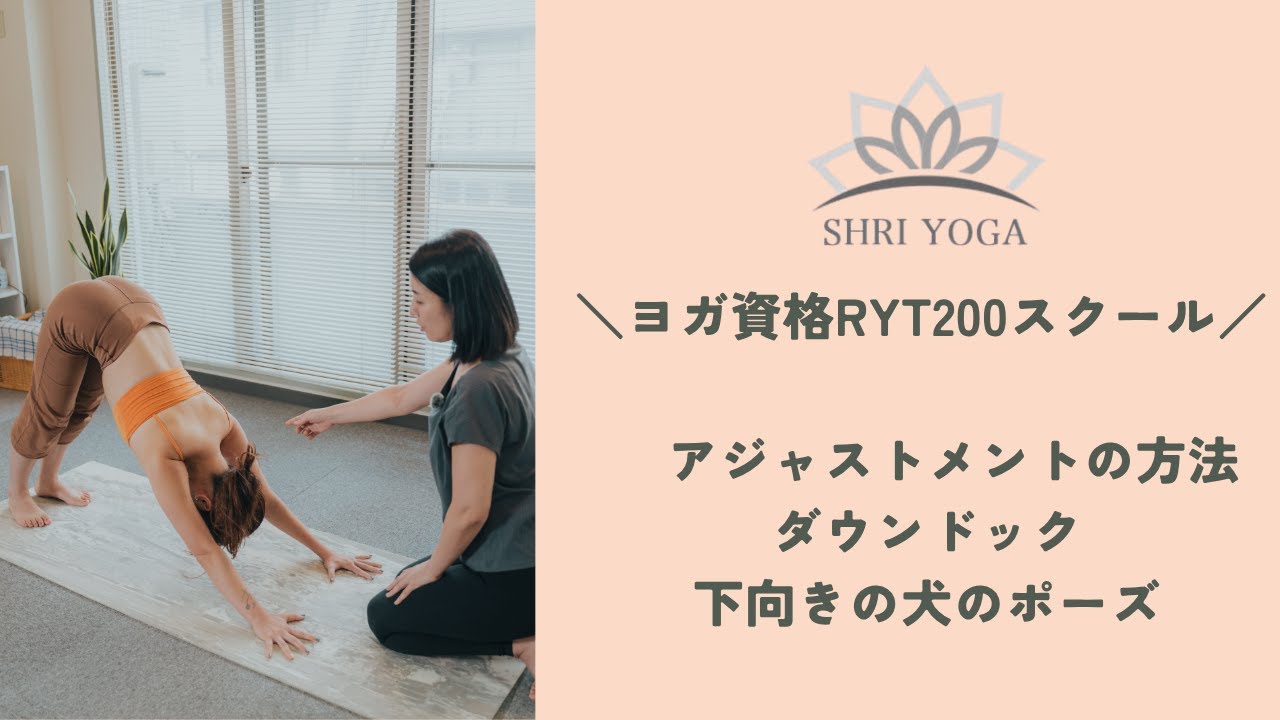 全米ヨガアライアンスRYT200講座スクール　「アジャストメントの方法」ダウンドック　下向きの犬のポーズ