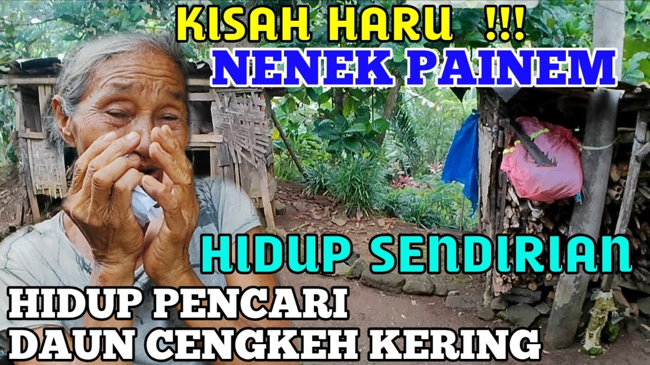 KISAH HARU, NENEK PAINEM HIDUP SENDIRIAN KONDISINYA MEMPRIHATINKAN@rudilmj1619 