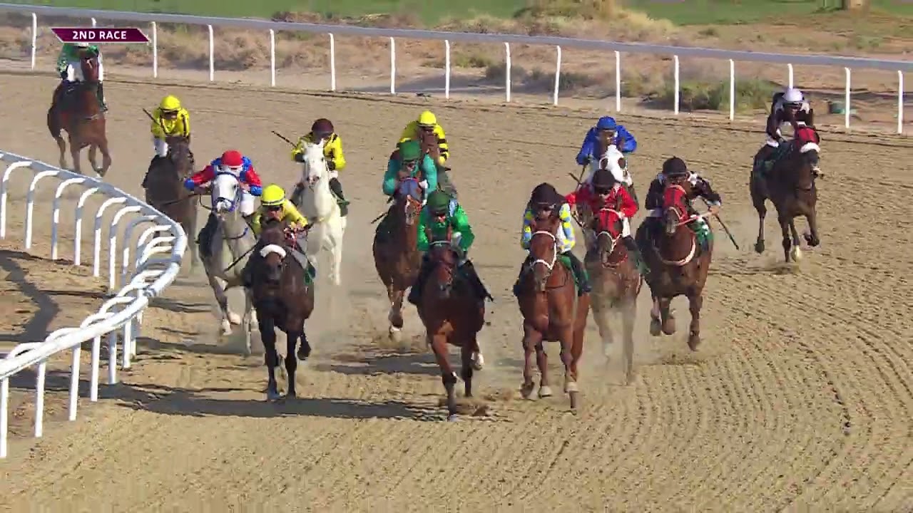 Al Ain 220226 Race 2