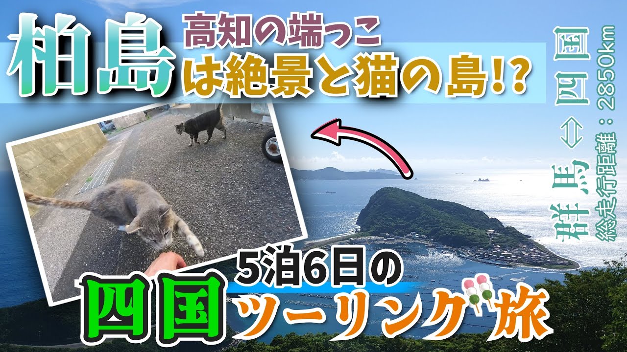 【レブル250】陸路で行く5泊6日の四国ツーリング旅【中編】｜絶景と猫で癒されすぎた！
