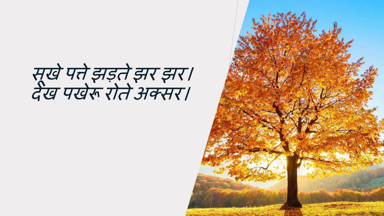 सूखे पत्ते झड़ते झर झर। New Ghazal