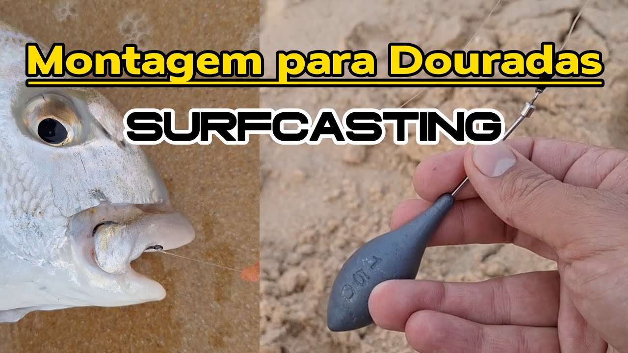 Douradas de Setembro ao Surfcasting - Montagem e Iscadas