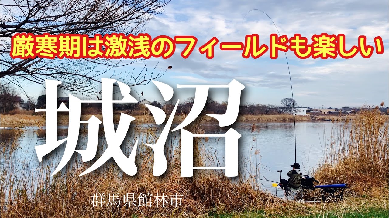 真冬に人気の城沼 超浅場を長竿で狙うと良いことあるかも