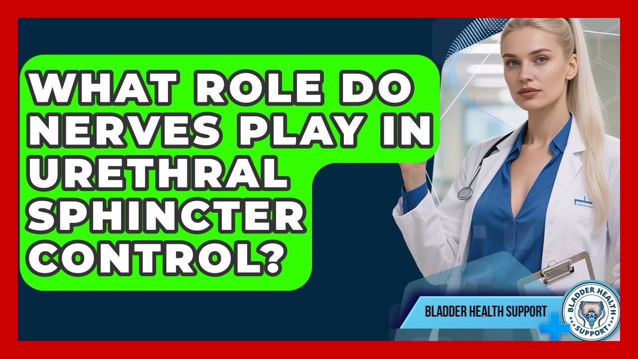 What Role Do Nerves Play In Urethral Sphincter Control? - Bladder Health Support