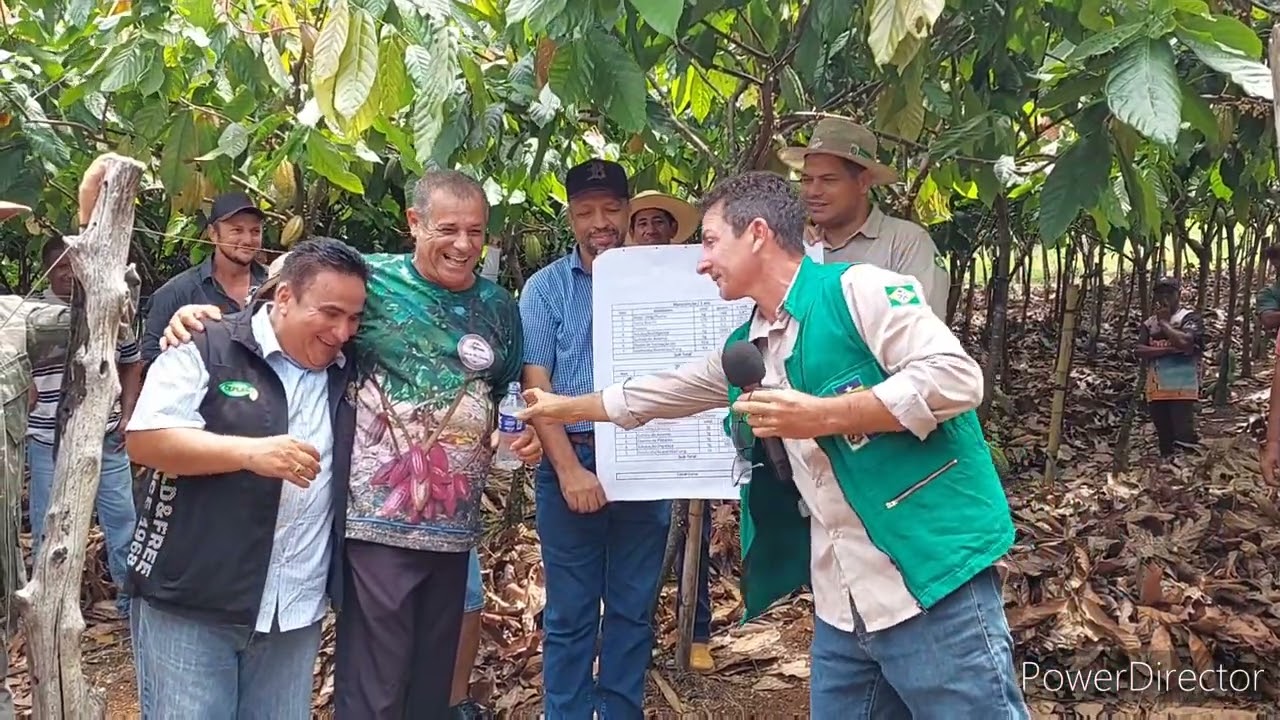 Dados do Cacau Super Adensado. Grupo Espaço Rural. Claudio e Chiquinho da Emater.