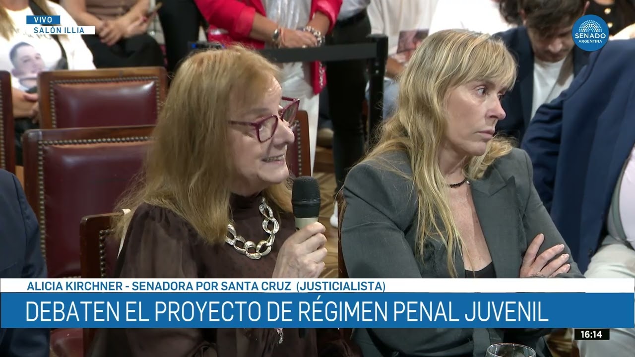 SENADORA ALICIA KIRCHNER 2 - PLENARIO DE JUSTICIA Y PRESUPUESTO 19-02-26