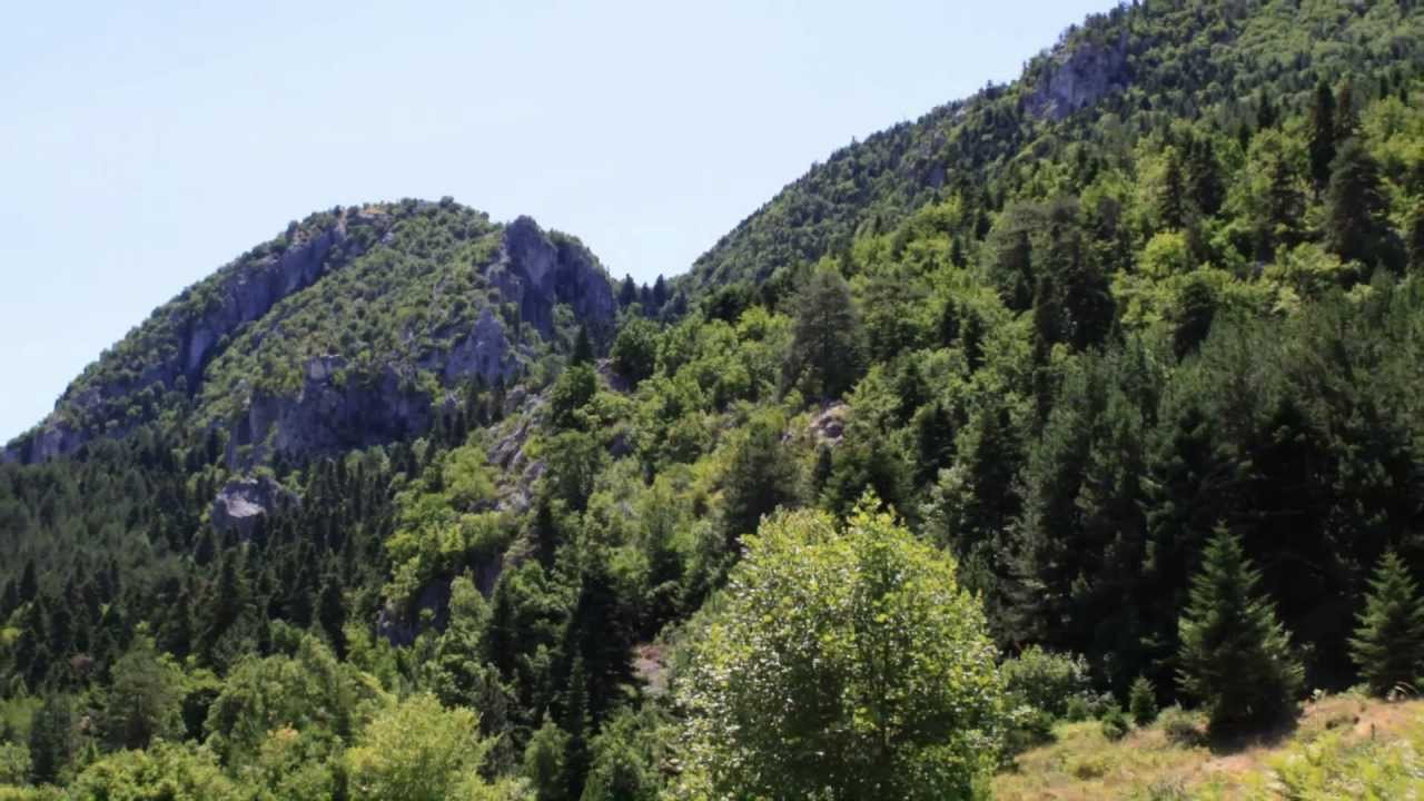 Μετακατασκηνωτική Ζιάκας-Πορόϊα 2012
